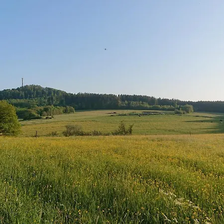 Am Hochkelberg Appartamento *